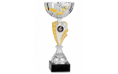 Coupe du club 